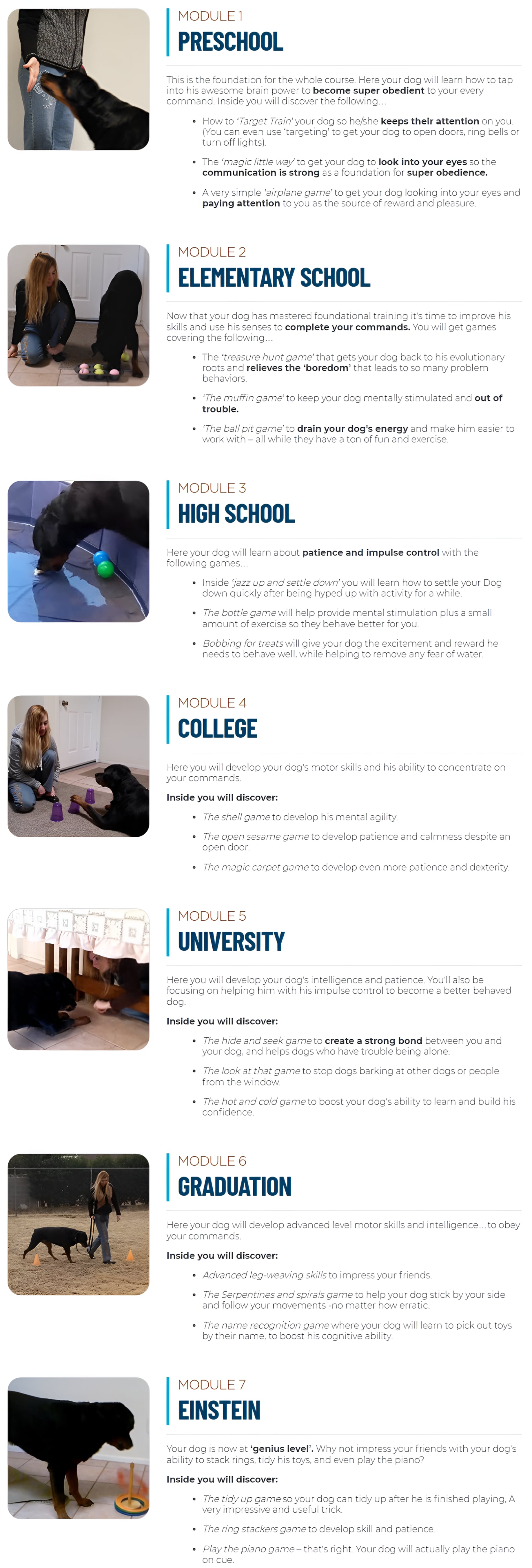 Brain Training for Dogs