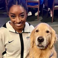 Brain Training for Dogs - Customer Reviews