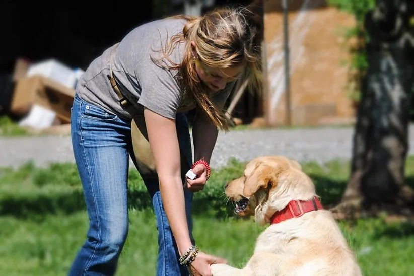 Brain Training for Dogs
